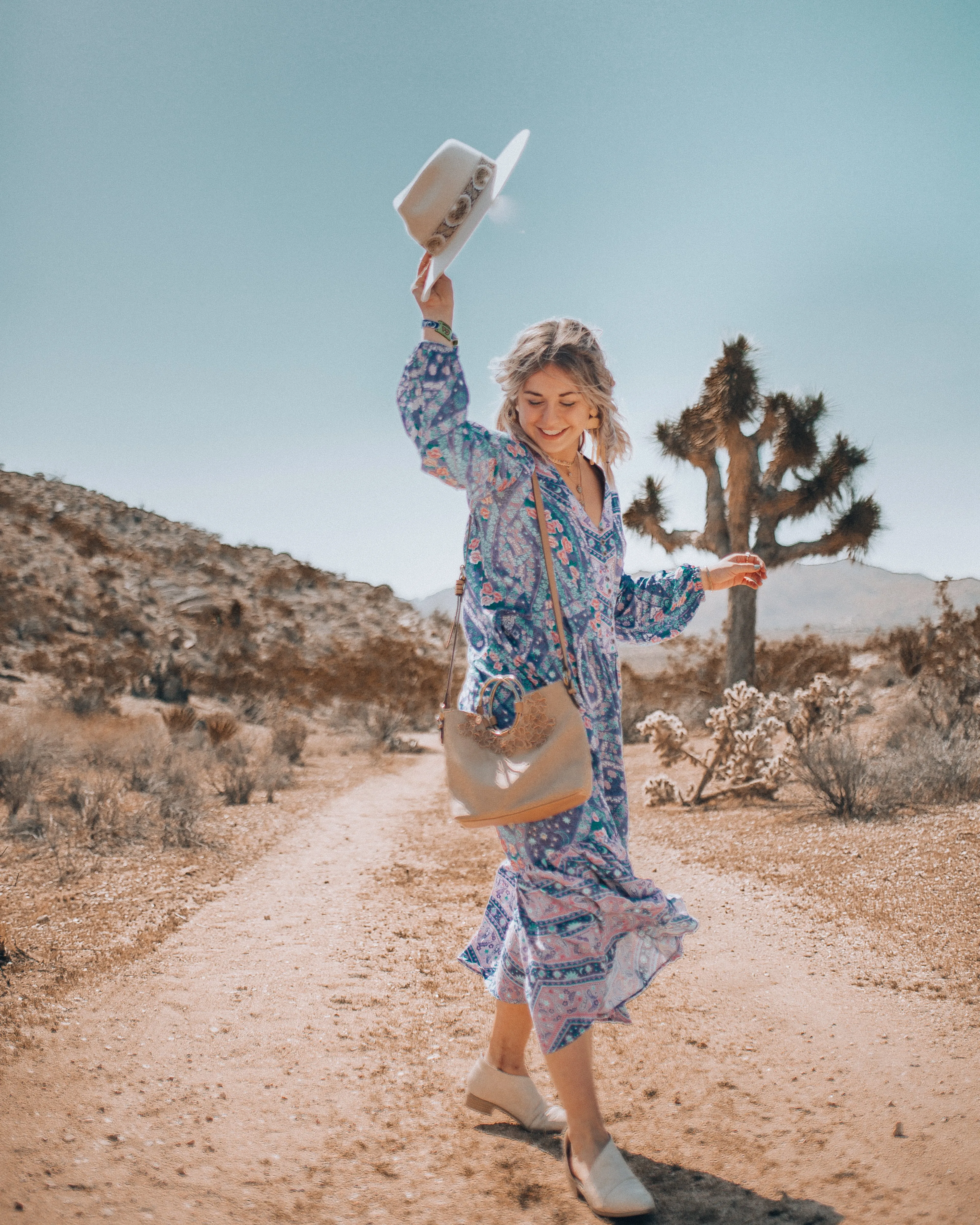 Painted Desert Ring Satchel in Dust