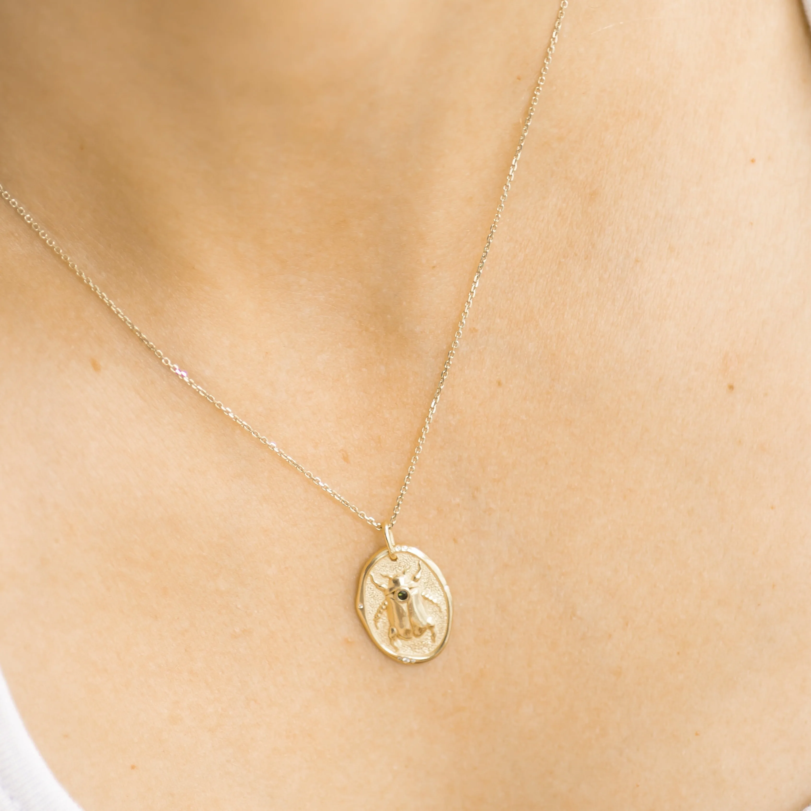 Stag Beetle Medallion Pendant 14k gold